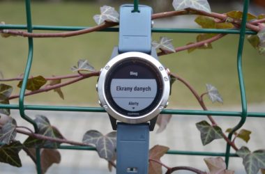 pola danych garmin fenix
