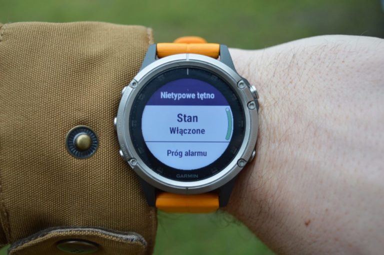 garmin fenix 5 pace alert